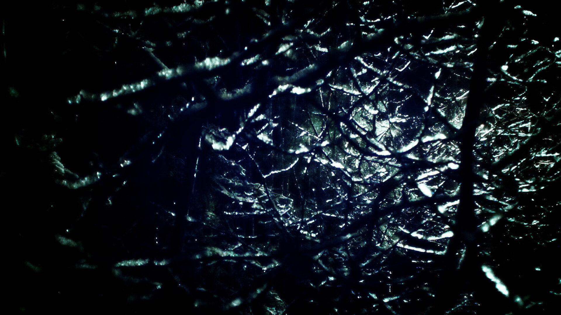 “海岸追逐：沿海赛段的惊心动魄”，沿着海岸线