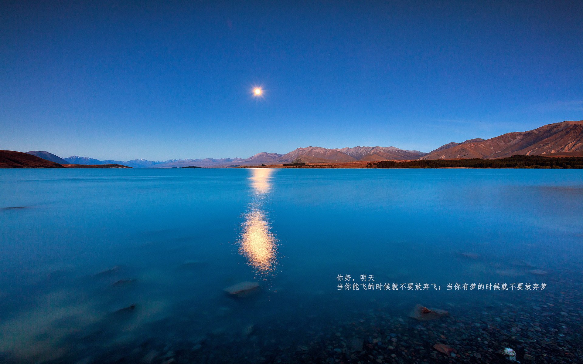 保利尼奥荣膺2023赛季巴甲最佳射手，保利尼奥在巴萨的进球视频