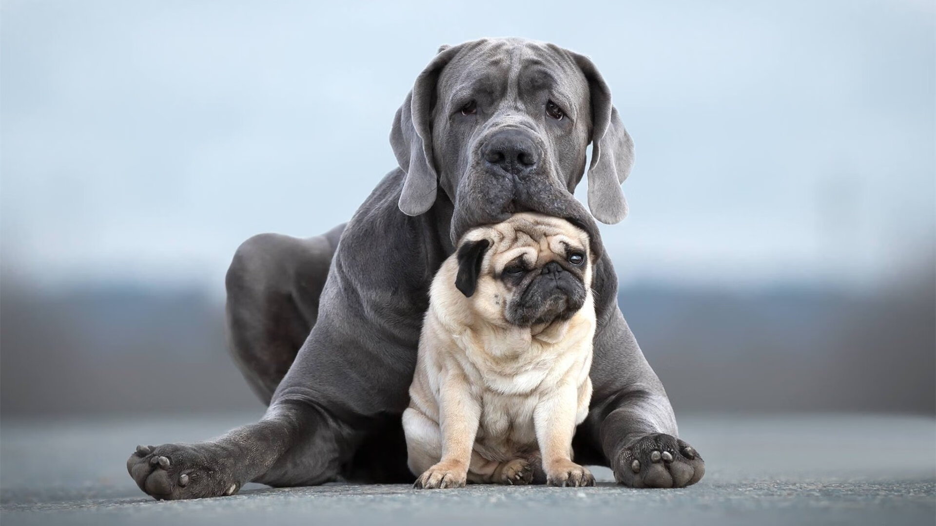 史上最复杂的“淘汰赛路”：那些战到极限的赛事，淘汰赛的比赛规则