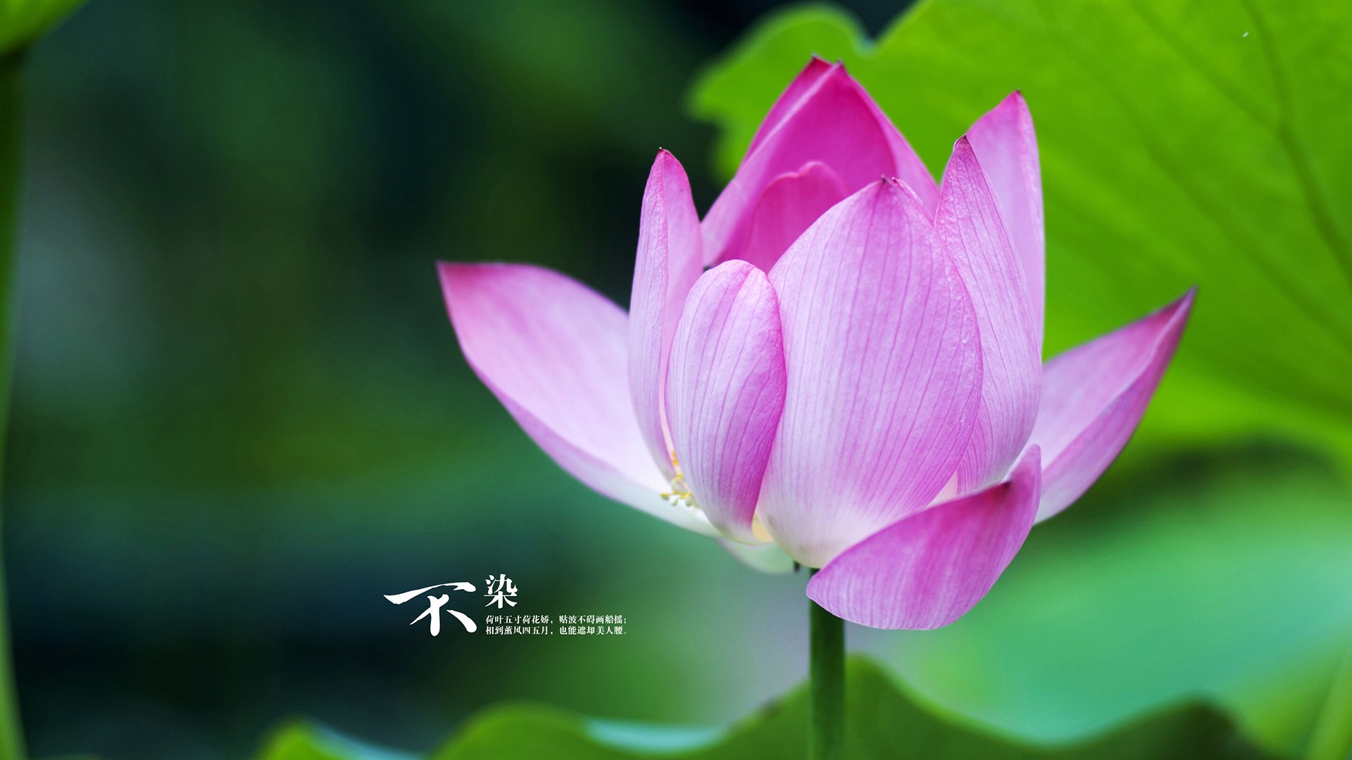 _节日特别赛:圣诞夜开启冬季网球狂欢_,网球赛事时间表2020中文版