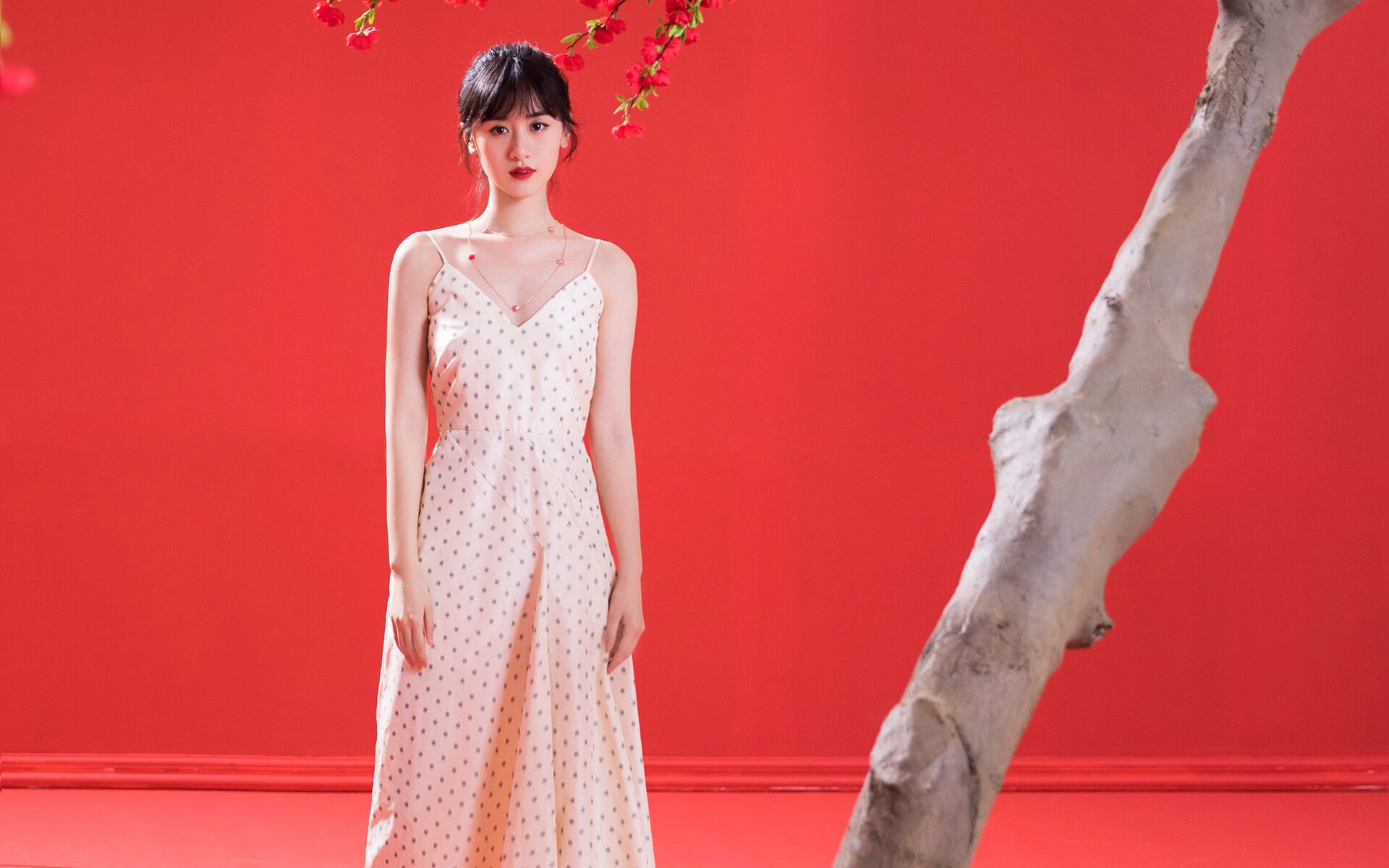 “趣味冷知识:你不知道的NBA隐藏故事”,nba的秘密