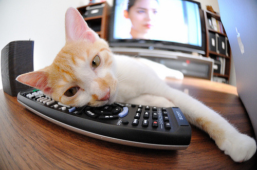 《Valorant》国际邀请赛与《CS_GO》Major的战术风格比较,valorant冠军赛