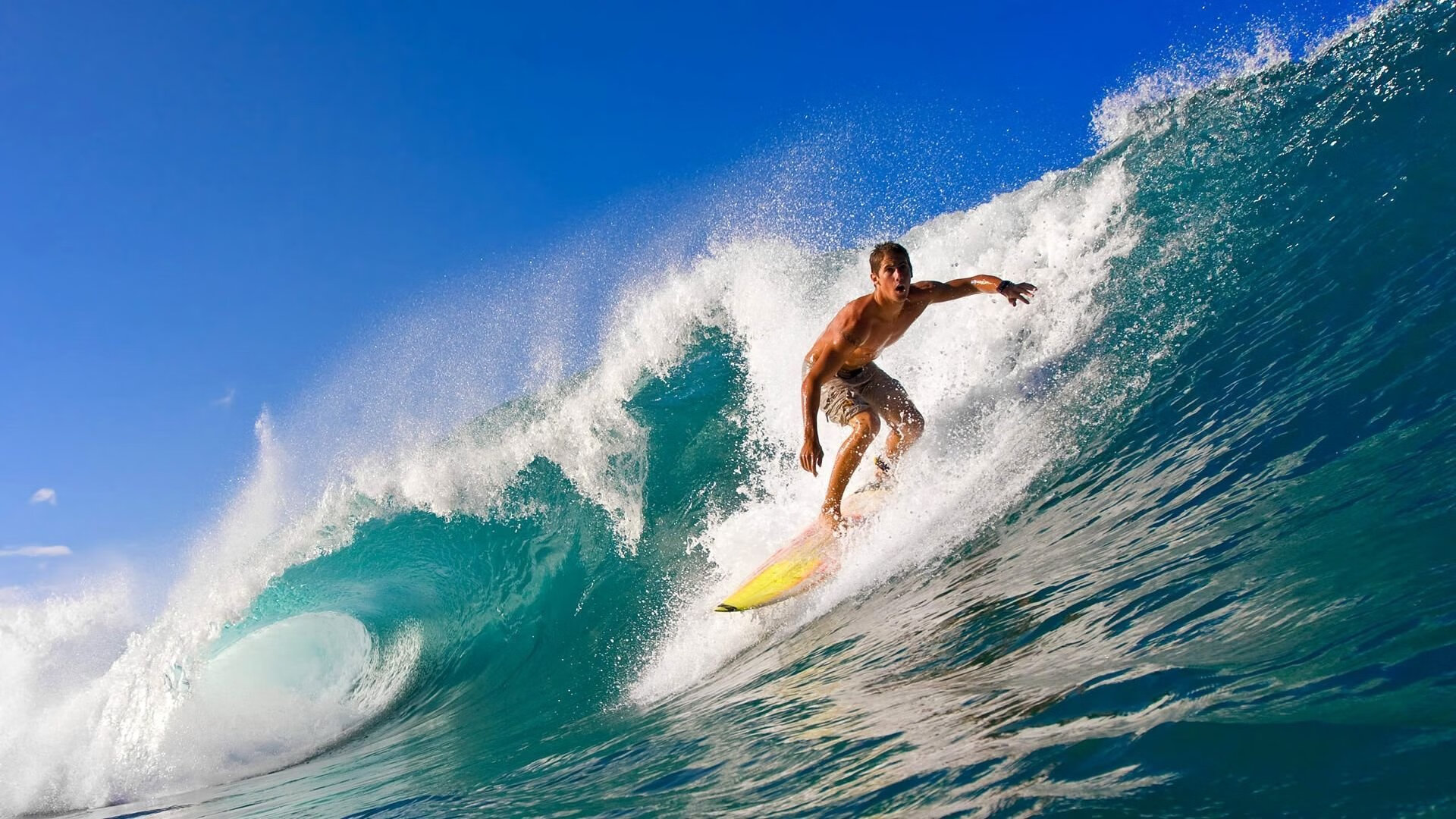 世界杯燃烧战场：拼搏到底，荣耀加冕！，世界杯燃情之夜